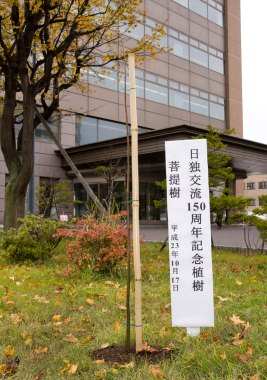 写真3