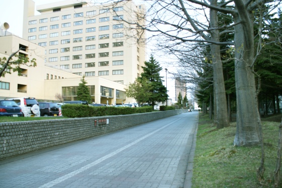写真7