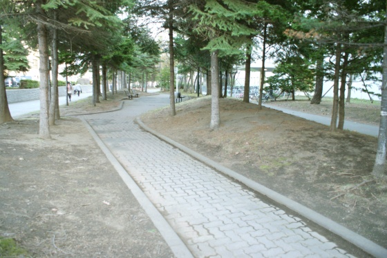 写真6
