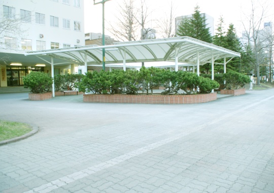 写真5