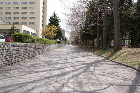 写真8