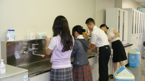 写真4