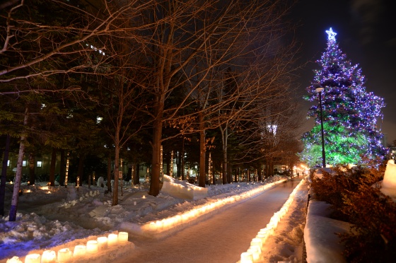 写真4