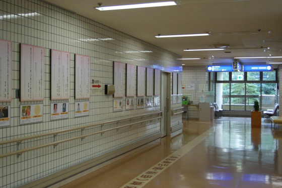 写真5