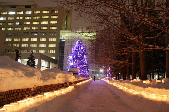 写真8