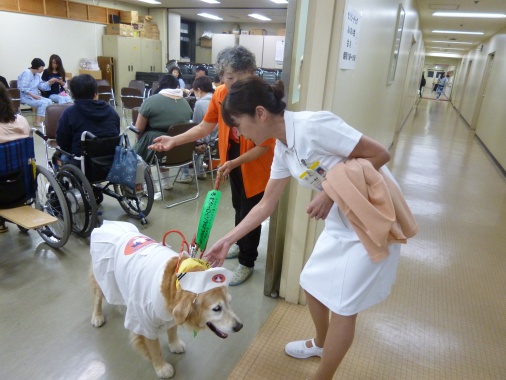写真5