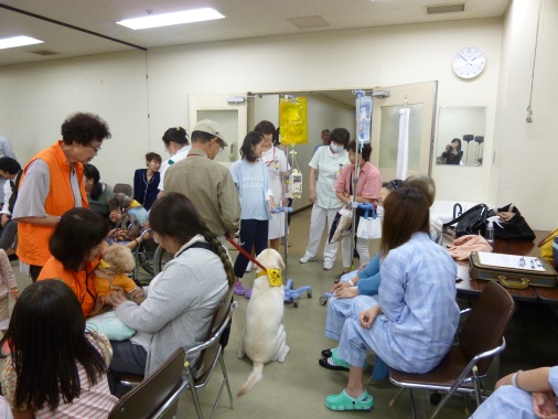 写真6