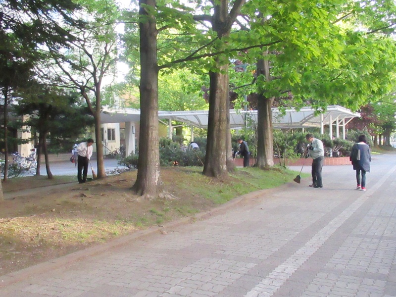 清掃活動の様子
