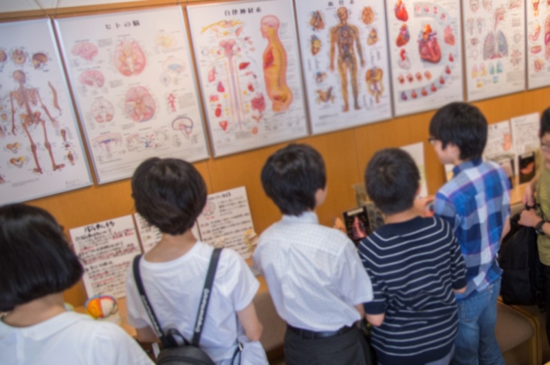 施設見学(標本館)の様子の写真