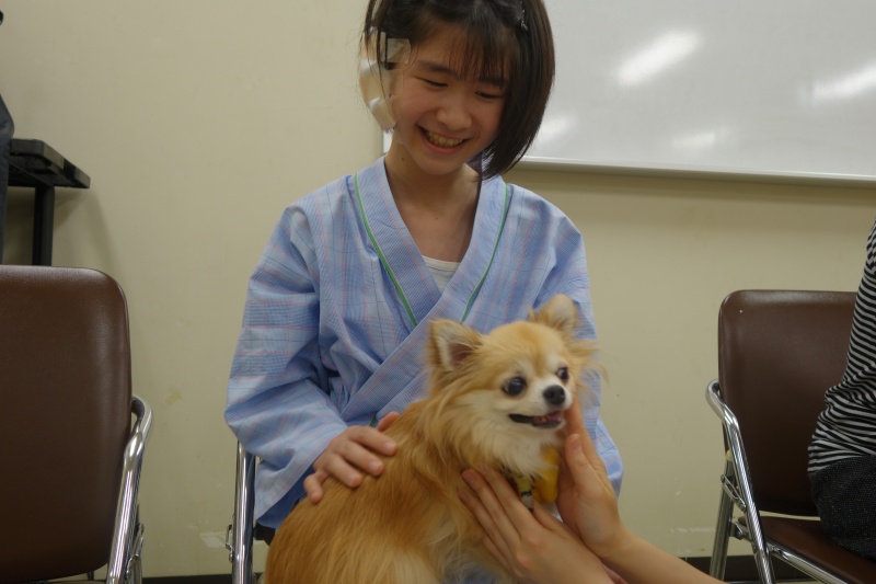 患者さんと記念撮影するチワワ