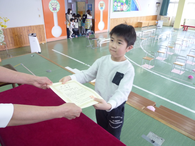 白樺小