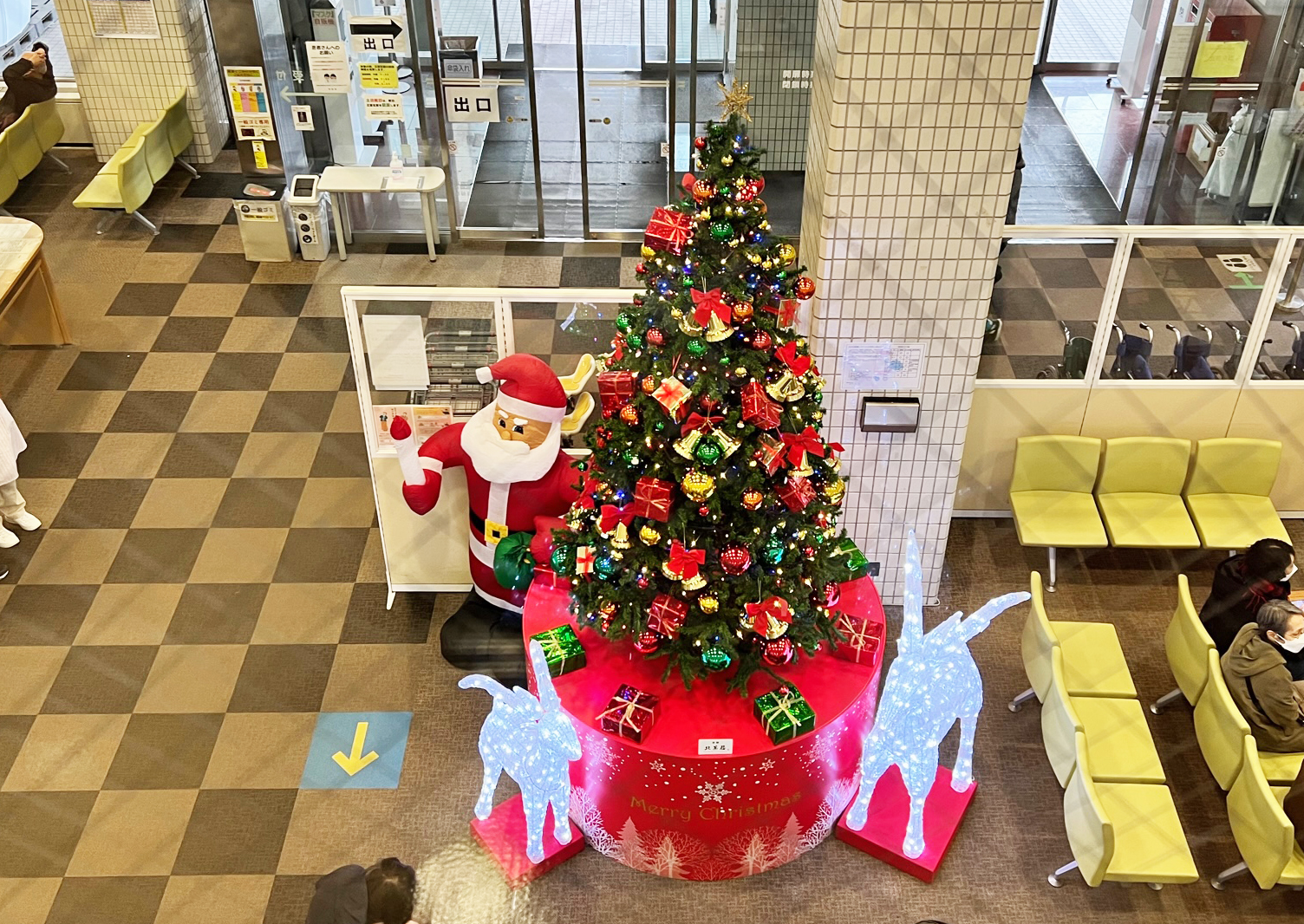 北菓楼様からご寄贈いただいたクリスマスツリー