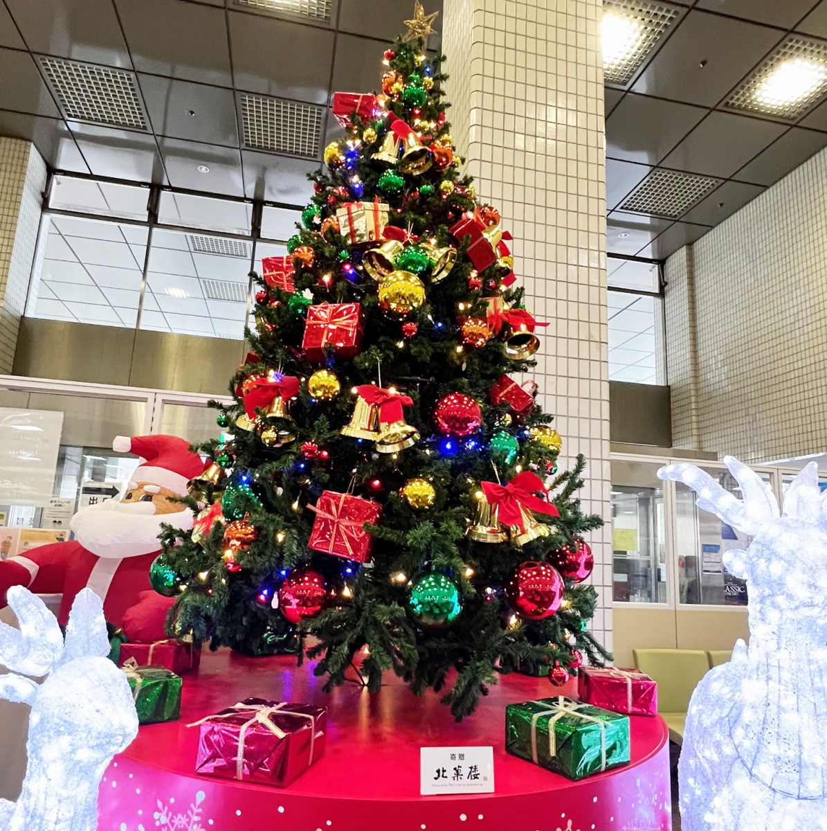 北菓楼様からご寄贈いただいたクリスマスツリー