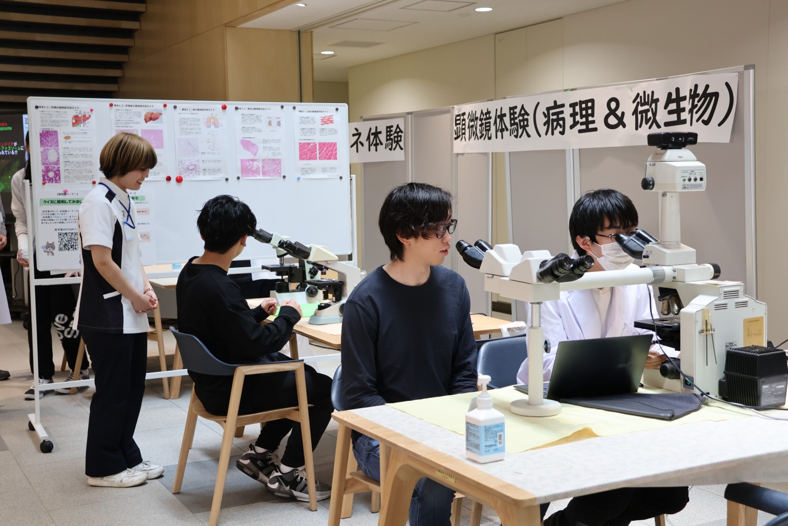 医学展　顕微鏡体験