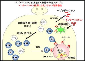図1