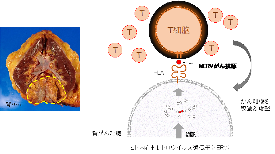 図1