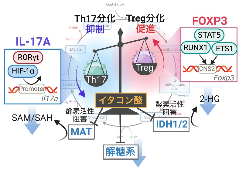 図1