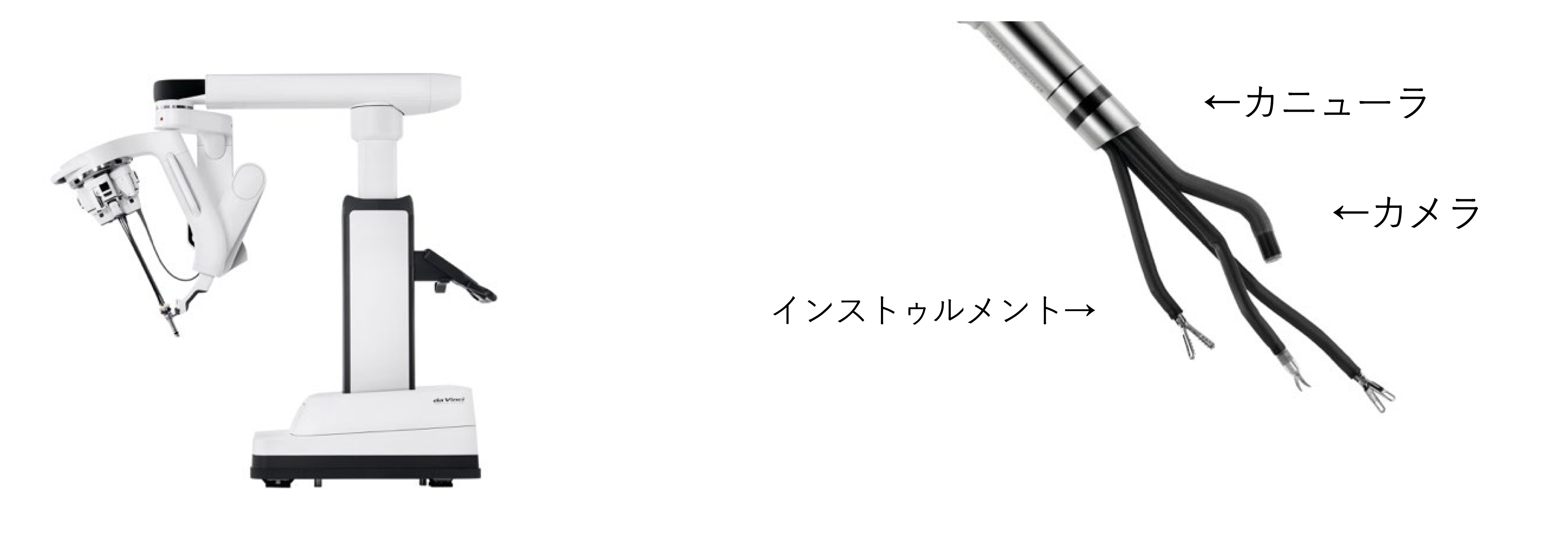 ダヴィンチSP