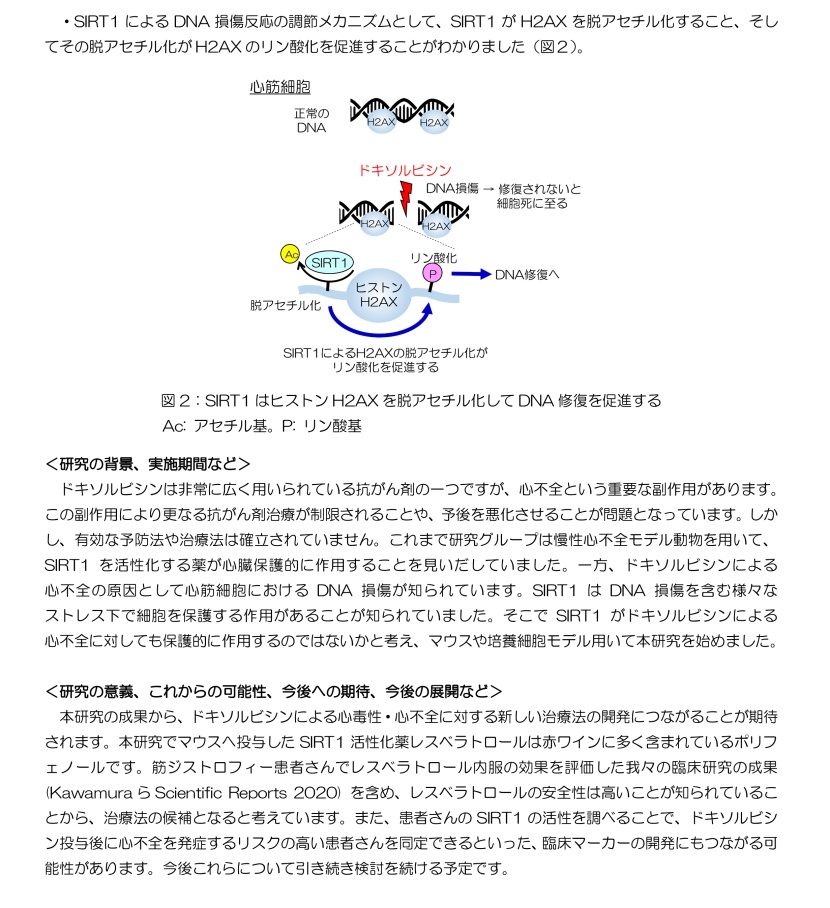 プレスリリース2枚目