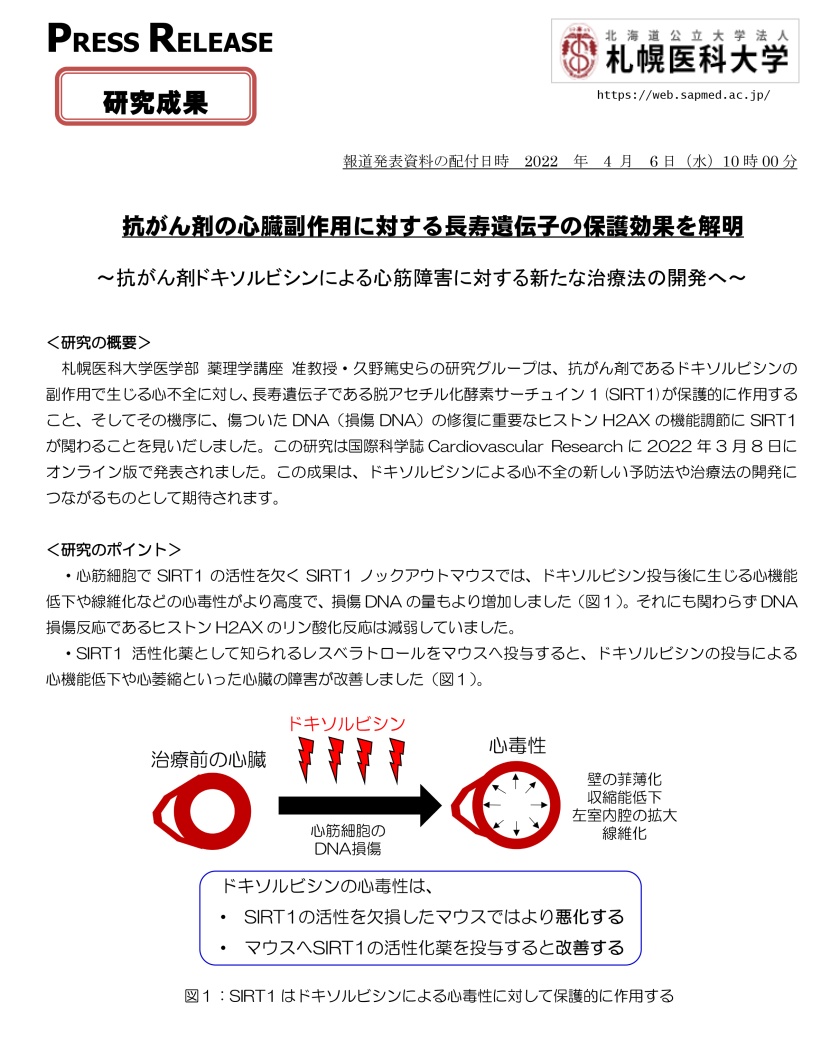プレスリリース1枚目