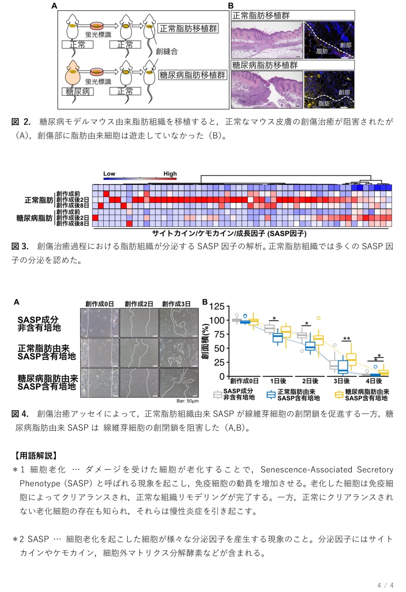 プレスリリース4