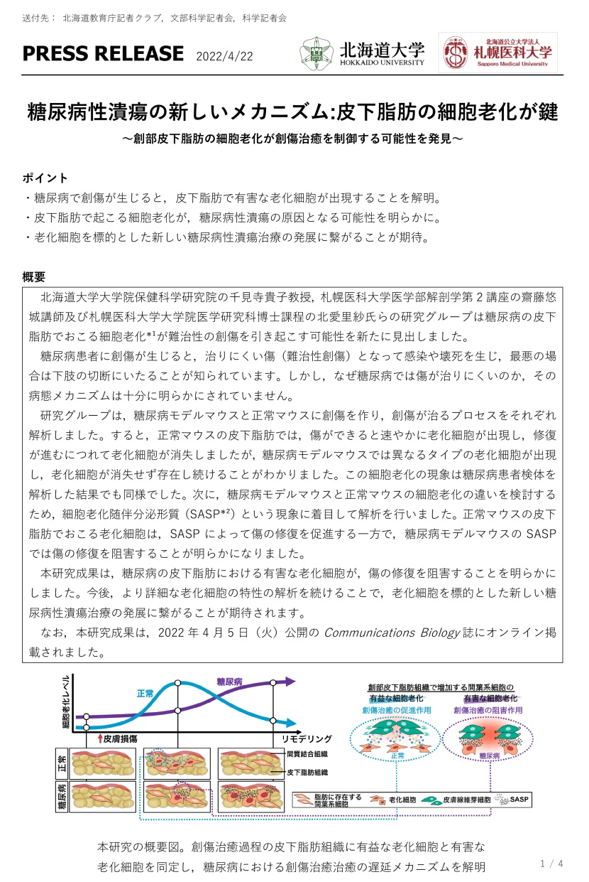 プレスリリース1