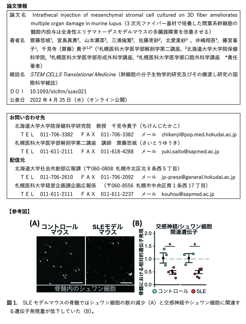 プレスリリース3