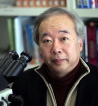 医学部病理学第一講座 鳥越俊彦教授