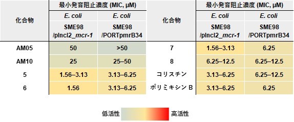図3. 得られた高活性誘導体の抗菌活性(化合物5-7が本研究で得られた高活性誘導体に対応)