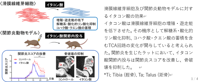 図1