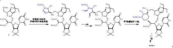 図2.SPM-1の合成
