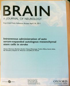 BRAIN