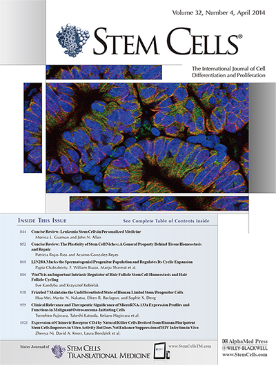 STEM CELLS