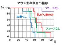 図4