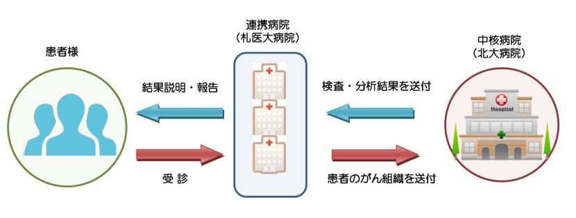 ●がんゲノム医療体制のイメージ