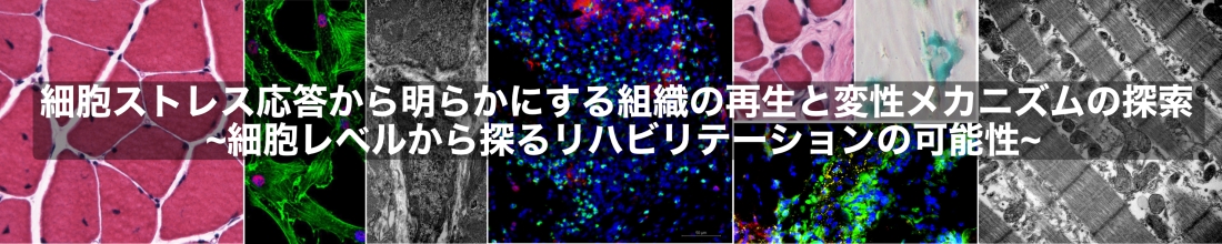 生体システム解剖学トップ画像
