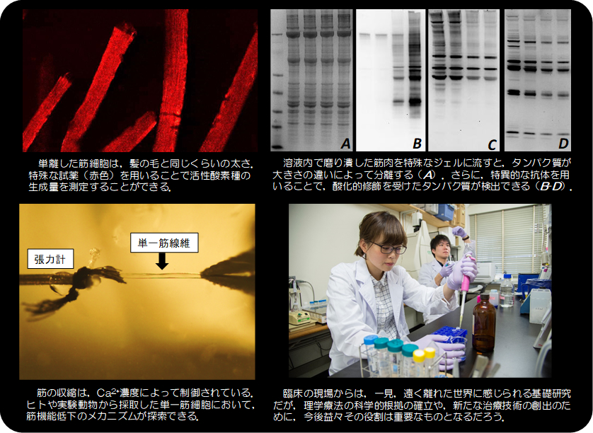 科学実験のプロセスと結果の画像