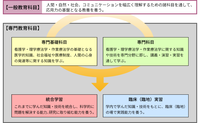 カリキュラム基本構造のイメージ