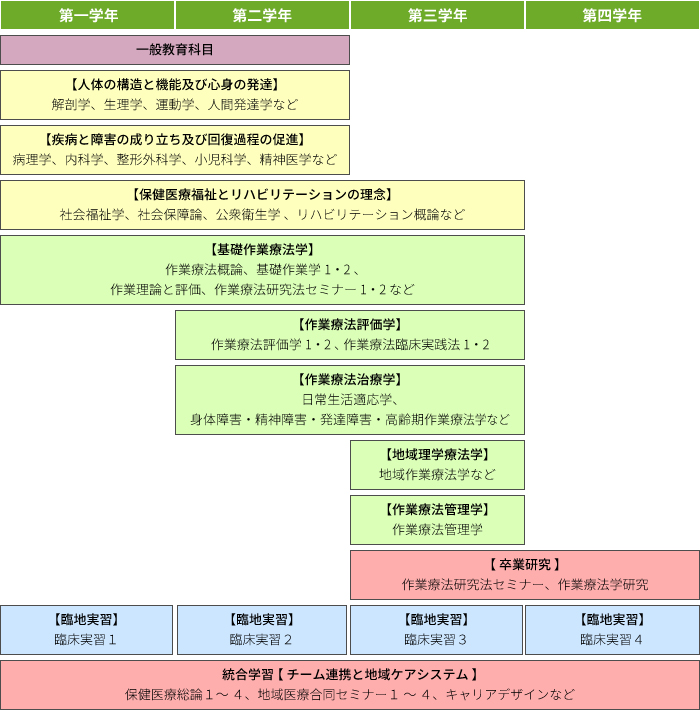 作業療法学科 カリキュラムのイメージ