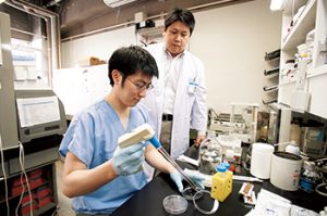 大学院で研究を行うイメージ写真