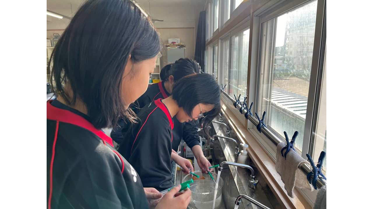 柏　中学校・科学部