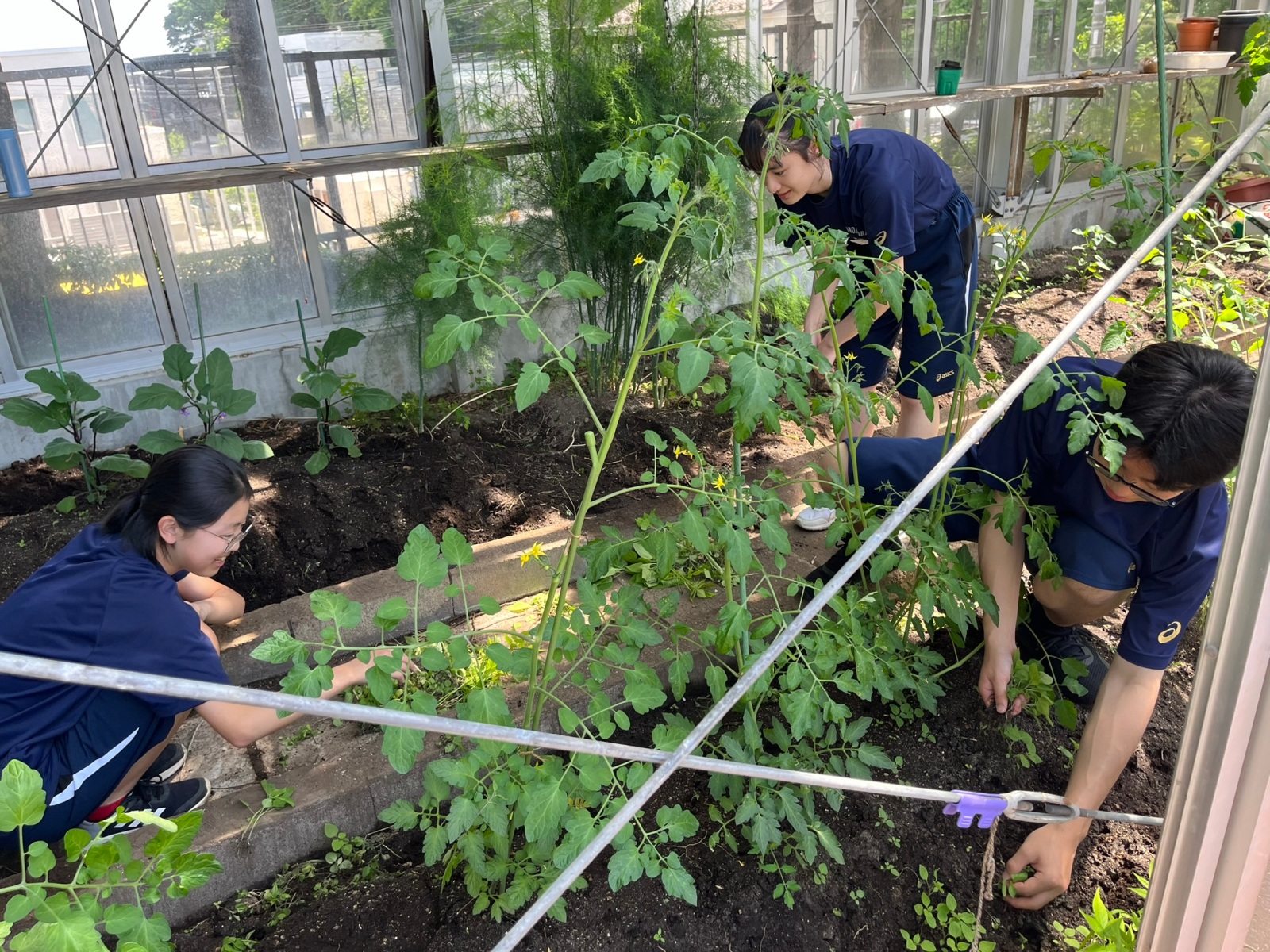 宮の森中学校・科学部