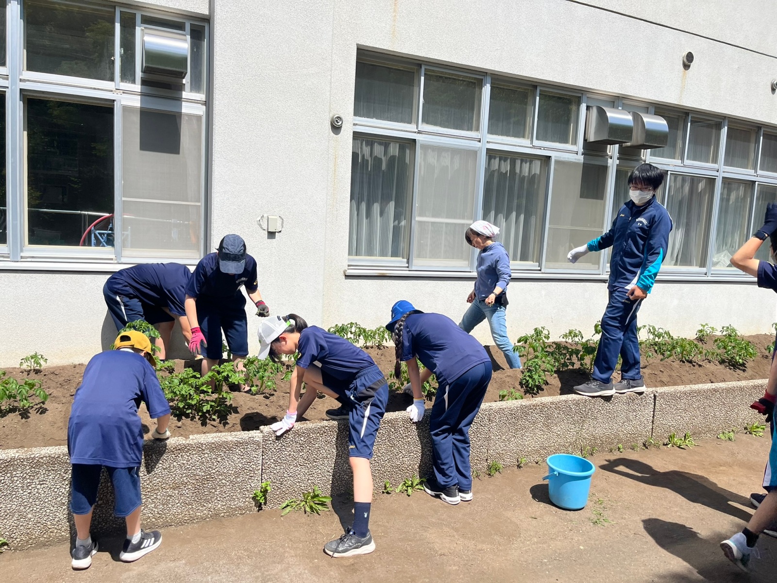 宮の森中学校・科学部