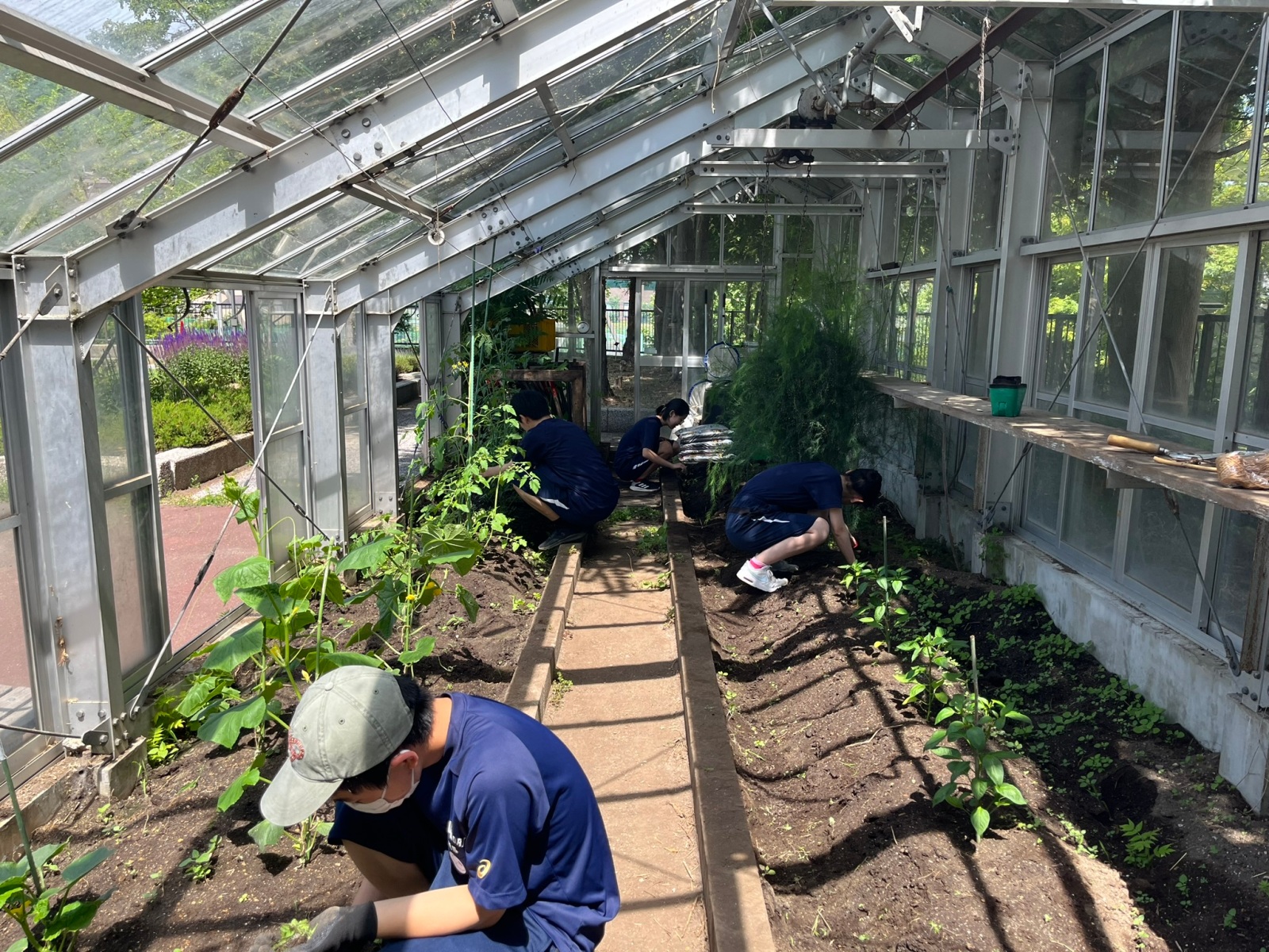 宮の森中学校・科学部